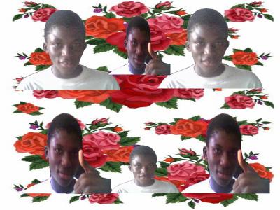 slt